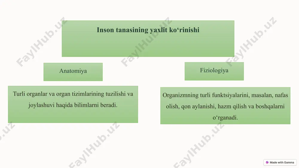 gospital pedagogikasi - Page 4