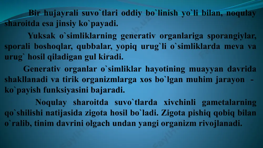 am bo`lmasdan, urug`ning shakllanishi o`simliklar filogenezidagi aromorfoz bo`lib, ularning o`simliklar olamida hukmron bo`lishiga olib kelgan. ochiq urug`li o`simliklar urug`i urug`kurtakli qubbalarda ochiq holda yetiladi. urug` hosil bo`lishi uchun avvalo changlanish, so`ngra urug`lanish sodir bo`lishi kerak. ochiq urug`lilar gametofitida tugunchaning bo`lmasligi, urug`kurtakning ochiq holda rivojlanishi, endospermaning gaploid ekanligi bilan xarakterlanadi zarafshon archasi ikki uyli o‘simlik. bahor oxirlarida ayrim archa tuplarining yosh novdalarida mayda qubbachalar hosil bo‘lib, ularda juda ko‘p miqdorda chang yetishadi. bu qubbachalar changchili qubbalar deb ataladi. shu vaqtda archaning boshqa tuplarida uzunligi 0,5-1 sm keladigan sharsimon qubbalar hosil bo‘ladi. bu qubbalar urug‘kurtakli qubbalar deb ataladi. urug‘chi qubbalaming tangachalarida urug‘kurtak joylashadi. urug‘kurtakdagi arxegoniy ichida esa tuxum hujayra yetishadi. changchi qubbachalarda yetilgan chang boshqa tupda yetilgan urug‘chi qubbalarga kelib tushadi va uni changlantiradi. urug`kurtakka tushgan chang donasining vegetativ hujayrasi o‘sib chang nayini hosil qiladi. generativ hujayradan hosil bo‘ladigan spermiylardan biri arxegoniydagi tuxum hujayrani urug‘lantiradi. urug‘langan tuxum hujayradan murtak, urug‘kurtakdan urug‘ rivojlanadi. …