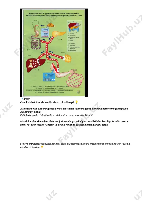 qandli diabet 1-tur - Page 2
