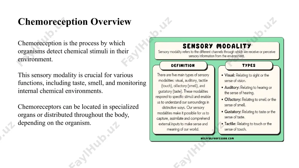 reception, structure and function of receptor cells - Page 5
