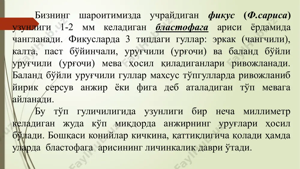 2, ва c витаминлари бор. таркибида фруктоза ва глюкоза, минерал тузлар, фитсин моддаси, лимон, олма, сирка кислоталари, а, в1, в2 ва c витаминлари бор. маклюрадан каучук олишда. қоғоз дарахтидан энг яхши сифатли қоғоз олишда фойдаланилади. бундан ташқари сут дарахтининг шираси ва нон дарахтидан меваси исътемол қилинади. эътиборингиз учун рахмат! image1.png image2.jpeg image3.jpeg image4.jpeg image5.jpeg image6.jpeg image7.jpeg image8.jpeg image9.jpeg image10.jpeg image11.jpeg image12.jpeg /docprops/thumbnail.jpeg