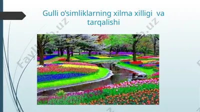 gulli o’simliklarning xilma xilligi va tarqalishi — PPTX