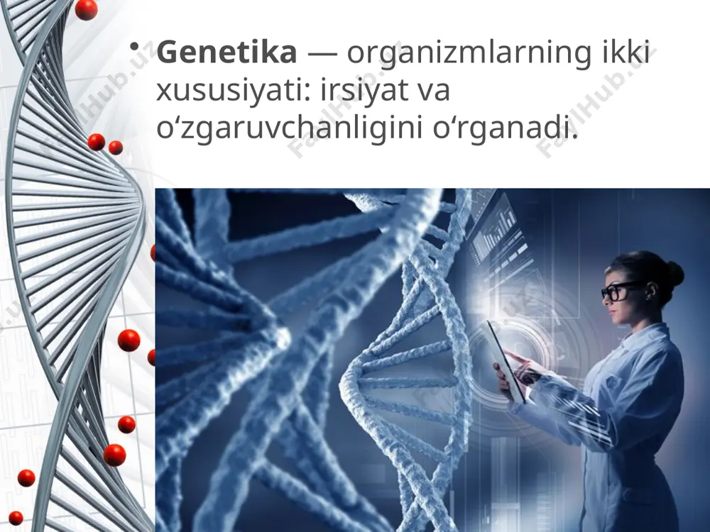 rangi) emas, balki biokimyoviy (oqsilning tuzilishi, ferment faolligi, qondagi garmonlar konsentratsiyasi va boshqalar), gistologik (hujayraning shakli, to‘qimalar va organlar tuzilishi), anatomik (tana tuzilishi, organlar joylashuvi) belgilari ham kiradi. savol va topshiriqlar genetika fani nimani o‘rganadi? irsiyat deb nimaga aytiladi? o‘zgaruvchanlik deb nimaga aytiladi? gen nima? genotip va fenotip tushunchalarini o‘zaro taqqoslab bering. image2.jpeg image3.jpeg image4.jpeg image5.jpeg image6.gif image7.jpeg image8.jpeg image9.jpeg image10.jpeg image11.jpeg image12.jpeg image1.jpeg