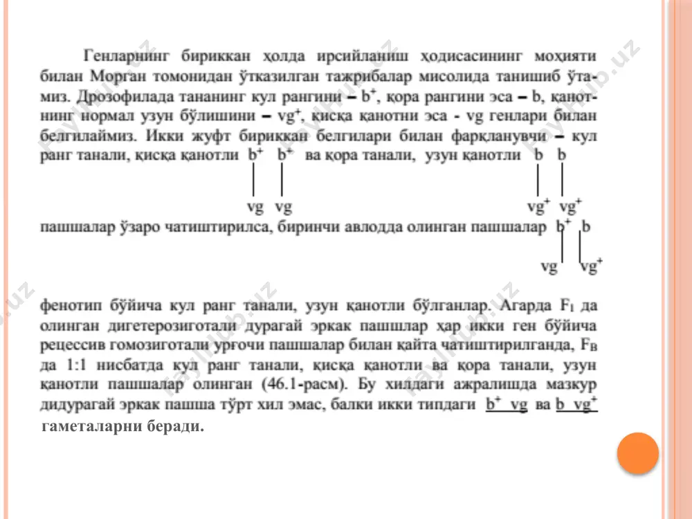 ини ва фенотипини аникланг. 7-масала. сулида доннинг кора бўлишини доминант а ген, кул рангини доминант в ген белгилайди. а ген в генни эпистатик таъсир этганда йўқотади. шундай экан куйидаги: аавв, аавв, аавв, аавв, аава, аавв генотипга эга ўсимликларнинг дон рангини аникланг? эътиборингиз учун раҳмат! image2.png image3.png image4.png
