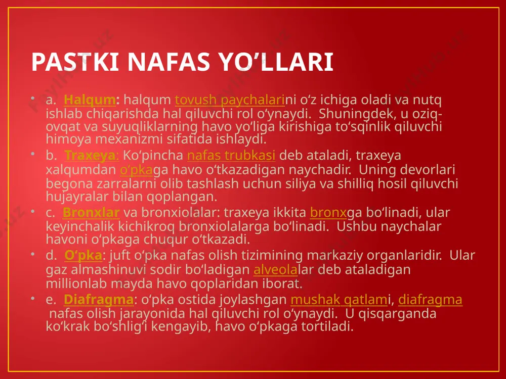 nafas olish tizimi - Page 4