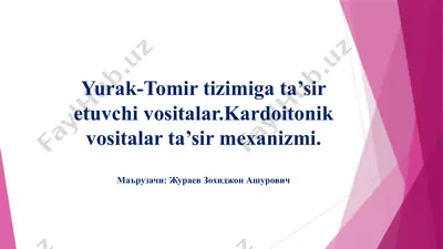 yurak-tomir tizimiga ta’sir etuvchi vositalar — PPTX