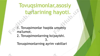 tovuqsimonlar, asosiy turlarining hayoti — PPTX