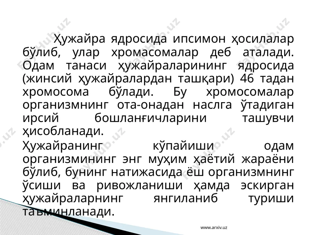 одам танасининг умумий тузилиши - Page 5