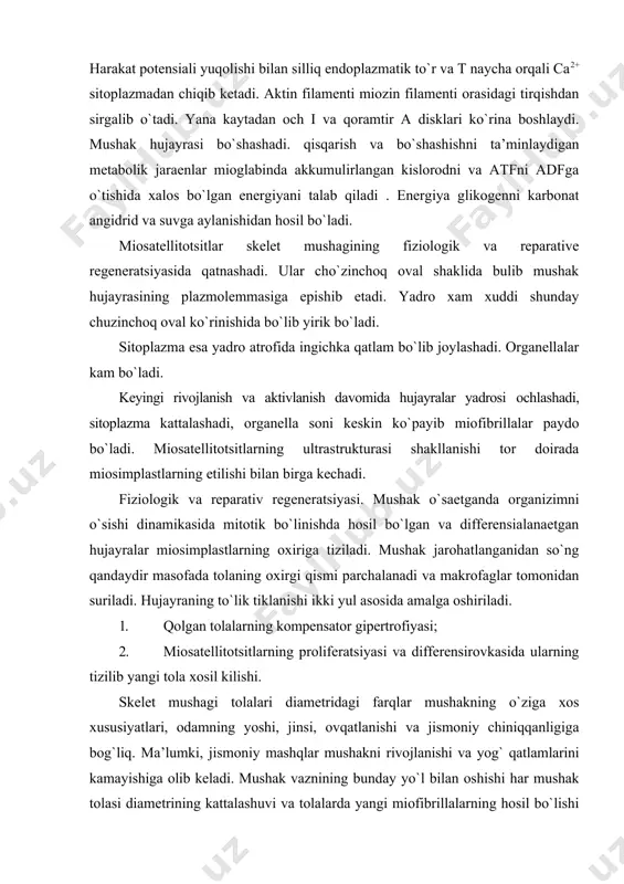 aklarida kuzatilmaydi, ekin hujayralari mitoz bo`linish xususiyatini yo`qotmagan silliq mushak to`qimasida amalga oshadi. giperplaziya ko`pincha bachadon mushagida (homiladorlik vaqtida ham gipertrofiya, ham giperplaziya) qayd etiladi. (anthony l. mescher, junqueira’sbasic histology: text and atlas, 13-th ed.-2013). skelet mushagining organ sifatida tuzilishi. anatomik jixatdan xar bir mushak tashqi tomondan oldidagi boshka vazifani bajaruvchi mushakdan epimiziy deb nomlanuvchi biriktiruvchi to`qimali qobiq(fassiya) erdamida ajraladi.xar bir mushak qalin dag`al biriktiruvchi to`qima(perimiziy) bilan o`ralgan bir qancha yirik mushak hujayralar gruppasidan iborat.alohida mayda hujayralar orasida yupqa qatlamli dag`al biriktiruvchi to`qima(endomiziy) joylashadi. ko`ndalang targ`il yurak mushak to`qimasi. miokard - yurakning mushakli qobig`ini hosil qiladi. u bir biri bilan qo`shiluvchi va anastomoz xosil qiluvchi ingichka hujayralardan iborat. bu hujayralar endomiziy bilan,hujayralar tuguni esa perimiziy bilan chegaralangan. skelet mushakdan farqli ravishda hujayralar bir biri bilan oraliq plastinkalar orqali bog`langan kardiomiotsitlardan tashkil topgan.yurak mushagi mioepikardial plastinkadan rivojlanadi. uch xil kardiomiotsit farqlanadi: qisqaruvchi 11.1. sinus(peysmeker) ~~1 11.2. oraliq uatipik 11.3. o`tkazuvchi j …