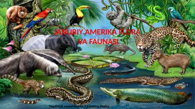 janubiy amerika flora va faunasi — PPTX