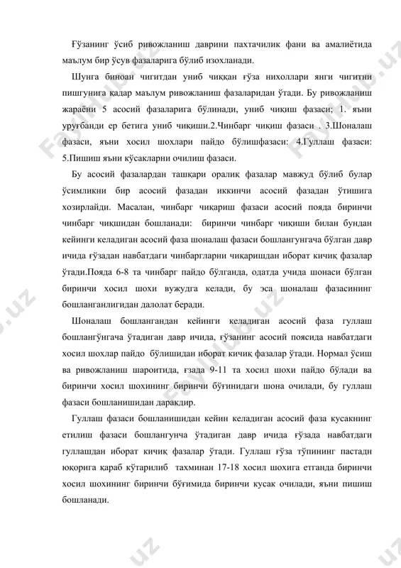 сқа навбати билан очилишидан иборат кичиқ ривожланиш фазалар ўтади. бу даврда кичиқ ривожланиш фазаларнинг сони асосан пишиш фазасининг бошланиши муддатига ва ўсимликни уриб кетадиган кўзги қора совуқнинг бўлиши вақтига об-хаво хамда агротехника шароитига қараб хар хил бўлади. ривожланиш фазаларининг давомийлиги ғўза формаларининг биологик хусусиятларига жумладан, тезпишарлик ва ўзоқ муддат яшовчанлик қобилиятларига шунингдек ўсиш шароитларига боғлиқ. ғўза тезпишар ва ўсиш шароити қулай бўлса, ривожланиш фазалари шунчалик (маълум чегара доирасида) қисқа бўлади, аксинча ғўза кечпишар, экиш шароити ноқулай бўлса ривожланиш фазалари шунчалик узоқ давом этади. ўрта осиё суғориладиган дехқончилик шароитида ғўзани ривожланиш фазалари ўрта хисобда қуйидаги муддатда: тупроқдаги температура ва намлик шароитда қулай бўлганда,экишдан униб чиқгунча 5-7 кун шароит ноқулай келганда эса 10-15 кун ва ундан хам кўпроқ давом этади: униб чиқишдан биринчи чинбарг чиқгунча 8-12: чинбарг чиқа бошлашдан шона пайдо бўла бошлагунча 25-30 кун, шоналай бошлашидан гул очила бошлагунича хам 25-30 кун, гуллай бошлагандан кусакларни пиша бошлагунигача 50-60 кун ўтади. республикамизда …