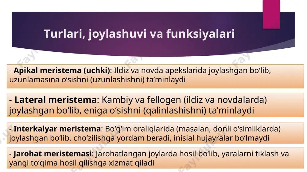 oʻsimliklarning toʻqima sivaularning klassifikatsiyasi - Page 5