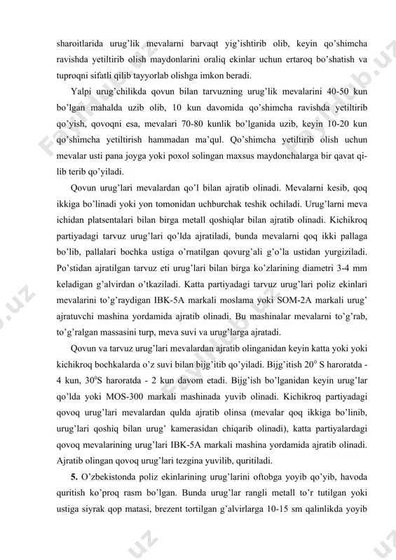 tarvuz eti urug’lari bilan birga ko’zlarining diametri 3-4 mm keladigan g’alvirdan o’tkaziladi. katta partiyadagi tarvuz urug’lari poliz ekinlari mevalarini to’g’raydigan ibk-5a markali moslama yoki som-2a markali urug’ ajratuvchi mashina yordamida ajratib olinadi. bu mashinalar mevalarni to’g’rab, to’g’ralgan massasini turp, meva suvi va urug’larga ajratadi. qovun va tarvuz urug’lari mevalardan ajratib olinganidan keyin katta yoki yoki kichikroq bochkalarda o’z suvi bilan bijg’itib qo’yiladi. bijg’itish 200 s haroratda - 4 kun, 300s haroratda - 2 kun davom etadi. bijg’ish bo’lganidan keyin urug’lar qo’lda yoki mos-300 markali mashinada yuvib olinadi. kichikroq partiyadagi qovoq urug’lari mevalardan qulda ajratib olinsa (mevalar qoq ikkiga bo’linib, urug’lari qoshiq bilan urug’ kamerasidan chiqarib olinadi), katta partiyalardagi qovoq mevalarining urug’lari ibk-5a markali mashina yordamida ajratib olinadi. ajratib olingan qovoq urug’lari tezgina yuvilib, quritiladi. 5. o’zbekistonda poliz ekinlarining urug’larini oftobga yoyib qo’yib, havoda quritish ko’proq rasm bo’lgan. bunda urug’lar rangli metall to’r tutilgan yoki ustiga siyrak qop matasi, brezent tortilgan …