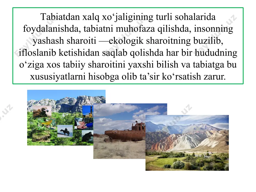 tabiiy geografik rayonlashtirish - Page 4
