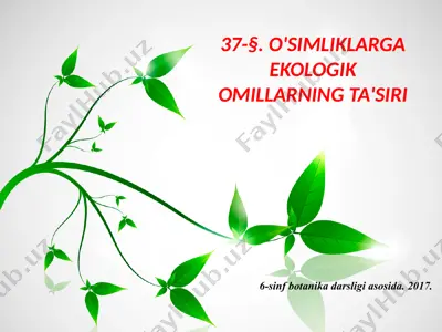 o'simliklarga ekologik omillarning ta'siri. 6 - sinf — PPTX
