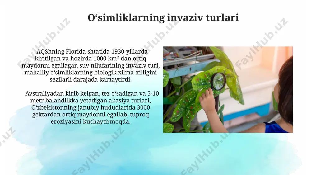 n, amazon daryosi havzasida esa 40 000 dan ortiq tur mavjud. oʻsimliklarning endemik turlari galapagos orollarida, evolyutsion jarayonlar tufayli, 1000 dan ziyod endemik oʻsimlik turi, shu jumladan, ulkan kaktuslar va noyob daraxt turlari shakllangan. madagaskar oroli, oʻzining noyob bioxilma-xilligi bilan mashhur boʻlib, 80% dan ortiq oʻsimlik turlari faqat shu yerda uchraydi, ya'ni endemik hisoblanadi; ularning 1000 dan ortiq turi xavf ostida. ekologik omillar va oʻsimliklarning taqsimotiga ta'siri qoraqalpogʻiston choʻllarida 30°c dan yuqori harorat va 100 mm dan kam yogʻin tufayli halofit oʻsimliklarning, masalan, saksovulning keng tarqalganligi kuzatiladi. namangan viloyatining togʻli hududlarida 2000 metr balandlikdan yuqori qismida oʻsadigan archa oʻrmonlarining tuproqning kislotaliligiga va yillik yogʻin miqdoriga (taxminan 800 mm) bogʻliqligi aniq kuzatiladi. oʻsimliklar geografiyasi fanining asosiy tushunchalari oʻsimliklar geografiyasi yer yuzidagi 200 dan ortiq mamlakatlarda 300 mingdan ziyod oʻsimlik turining geografik tarqalishini, shu jumladan, amazon oʻrmonlari va sahroi kabirdagi oʻsimlik zonalarini oʻrganadi. biomlar, masalan, choʻllar yoki tropik oʻrmonlar kabi, 5 ta …