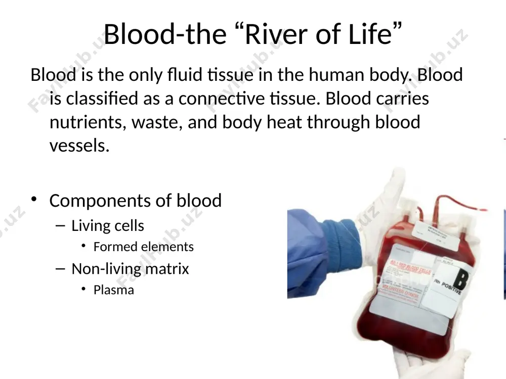 "blood: the river of life" - Page 3