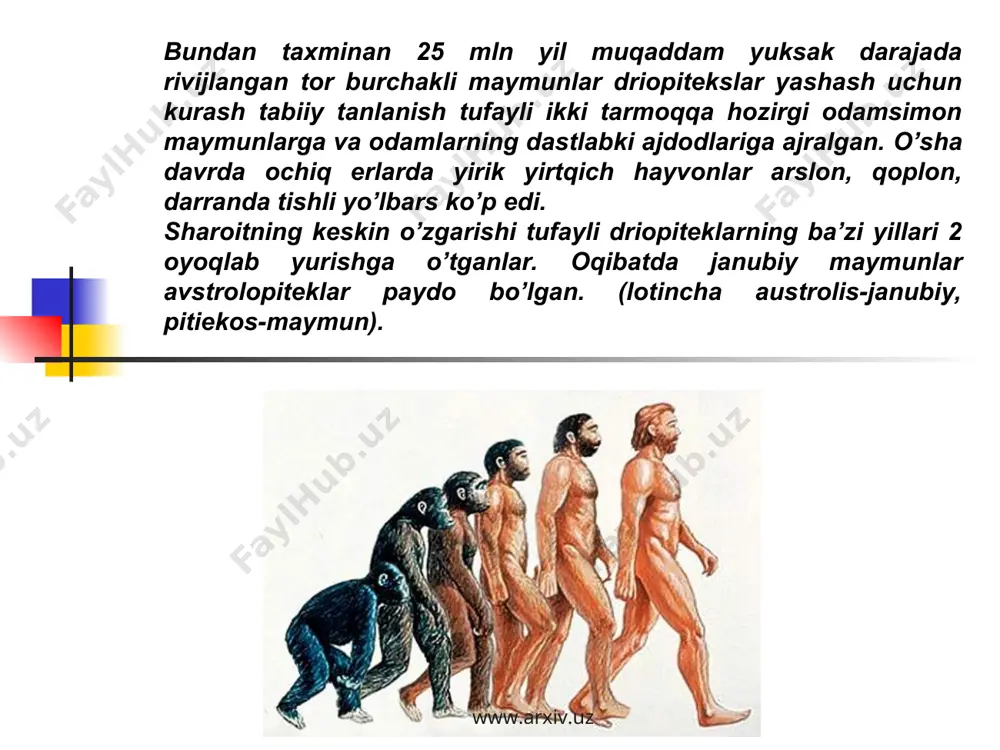 qa pog’onasining bel qismidagi bukiklik kamroq. miyasining hajmi 1400 sm3ga yaqin. qadimgi odamlarda miya bilan birga nutq ham rivojlangan. hozirgi zamon qiyofasidagi odamlar – neantroplar. dastlab hozirgi zamon qiyofasidagi odamlar- kromanonlarning skeletlari, kalla suyaklari qurollari fransiyaning janubidagi kromanon degan joydan keyinchalik uning qoldiqlari evropa, osiyo, afrika. avstraliyadan topilgan. ular taxminan 50 ming yil oldin paydo bo’lgan. kromanon odamlarning bo’yi 180 sm, kalla qutisining hajmi 1600 sm3 atrofida, peshonasi keng bo’lgan iyagining bo’rtib chiqqanligi ma’noli nutq yaxshi rivojlanganligidan dalolat beradi. ular g’orlarda yashab, uning devorlariga turli bo’yoqlar bilan ov epizodlari raqslar hayvonlar odamlar tasvirini ishlaganlar. www.arxiv.uz www.arxiv.uz odamlar qadim-qadimdan jamoa-jamoa qon qardosh bo’lib yashab kelishgan. ana shunday birliklarning eng muximi ularning irqiy va etnik birliklaridir. irq bu odamlarningkelib chiqishi, govda tuzilishi va qiyofasi o’xshash bo’lgan tarixan tarkib topgan hududiy birligidir. irqlarning paydo bo’lishi va odamlar o’rtasidagi irqiy belgi hamda hususiyatlarning kelib chiqishi haqida bir-xilk omillar bo’lib, keng tarqalgani ikkitadir. antropologlarning bir …