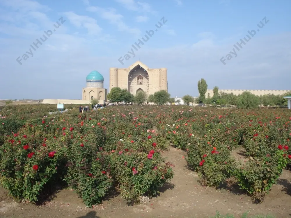 avvuf ilmlarini undan o'rganadi hamda «ming bir zikr»ni uning hodiy-rahbarligida ado etib, yuksak maqomlarga erishadi. etti yoshda arslonbobg'a qildim salom, haq mustafo omonatin qiling in'om. o’shal holda ming bir zikrin qildim tamom, lomakonning maqomig'a oshtim mano. arslonbob o'z davrining mashhur so'fiylaridan bo'lgan. jumladan, doro shukuh (1659 y) bu zotni «azimi mashoyixi turk» («turk mashoyixining ulug'laridan») deya ta'riflaydi (safinat ul-avliyo, lakhnav, 1862, 76-bet). quyi sirdaryo vohasidan topilgan va hozirda turkiston shahrida saqlanayotgan muallifi noma'lum «nasabnoma» risolasida esa arslonbob bilan yosh ahmadning ilk uchrashuvlari batafsil va maroqli bir shaklda tasvirlangan. unda hikoya qilinishicha, muhammad a.s. ahmad yassaviyga etkazish uchun arslonbobga bir xirqa bilan bir xurmo beradilar va «to'rtinchi xalifam va amakimning o'g'li alining farzandi imom muhammad hanafiy zurriyotidan sayram tepaligida xoja ahmad dunyoga keladi. uning otasi shayx ibrohim va onasi tog'ay bibicha bibi, laqabi qorasoch onadir» deya bashorat beradilar. omonat xurmoni olgan arslonbob chahorterak viloyatida qirq yil zohidlikda yashab, nafsini poklaydi. shundan …