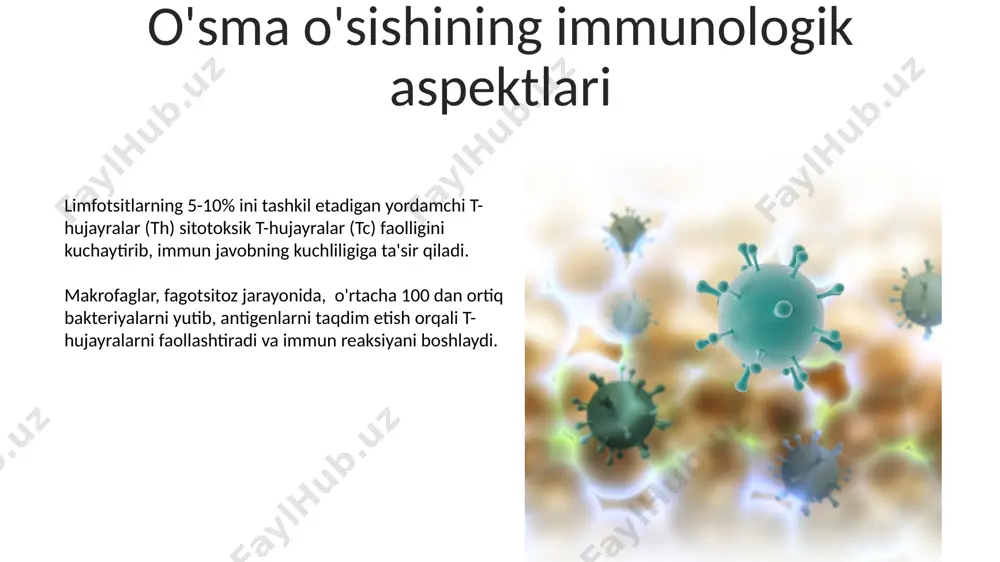 immun reaksiyalarini morfologik asoslari - Page 5