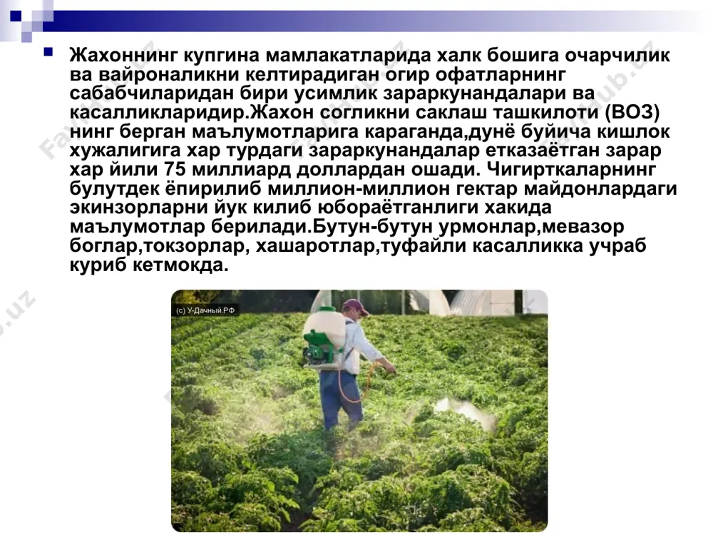 гербицид ва пестицидларнинг тизимлар фаолиятига таьсири - Page 4
