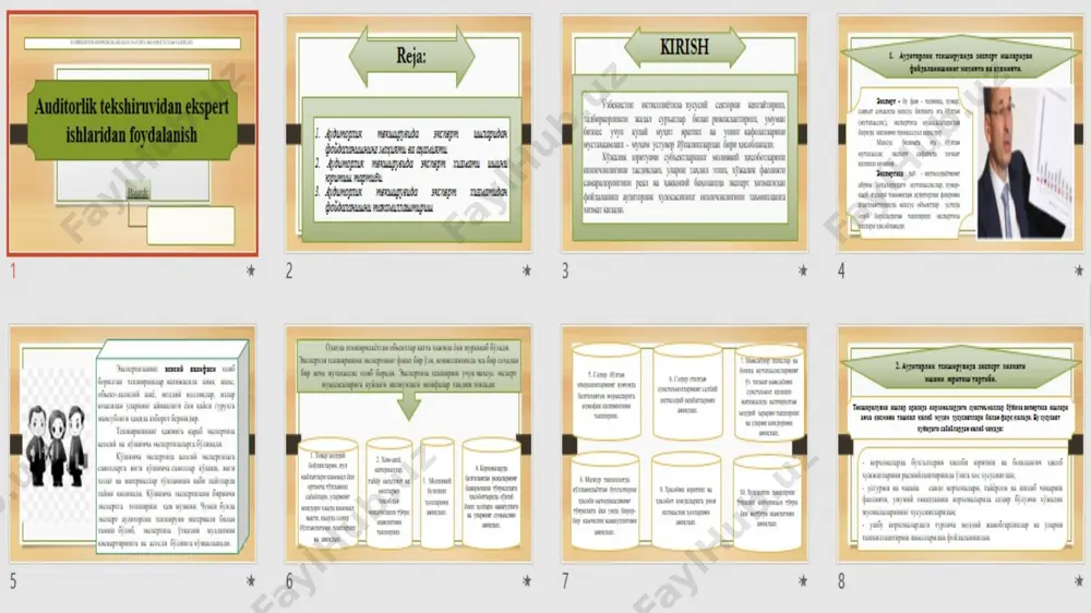 auditorlik tekshiruvidan ekspert ishlaridan foydalanish - Page 3