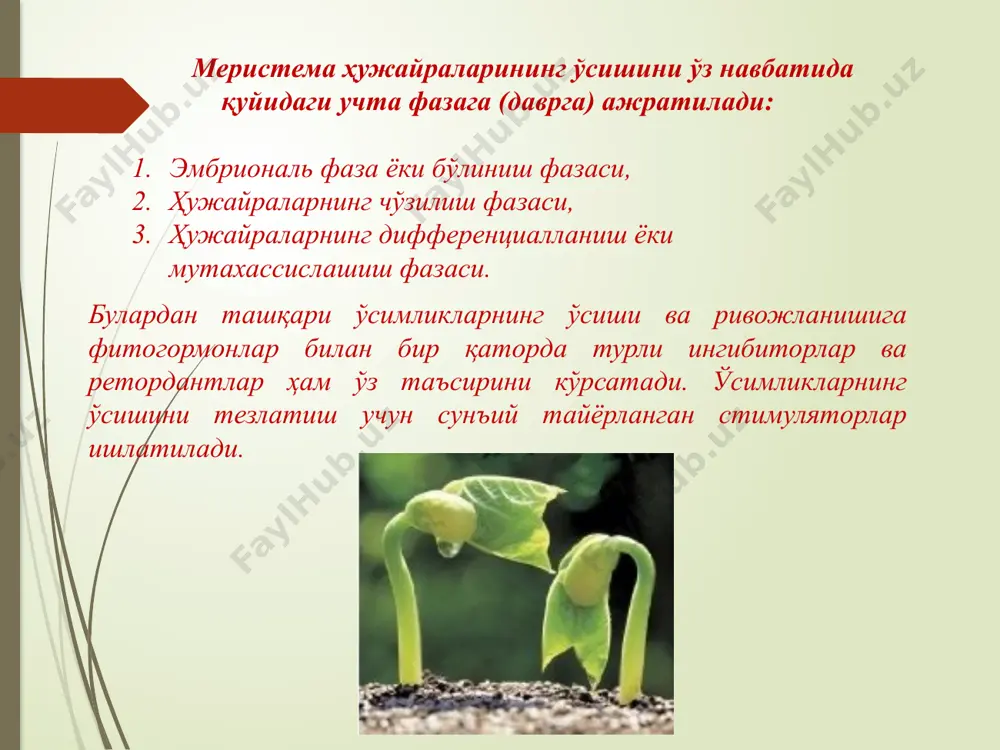 ўсимликшуносликда стимуляторларни қўллашнинг биотехнологик асослари - Page 4