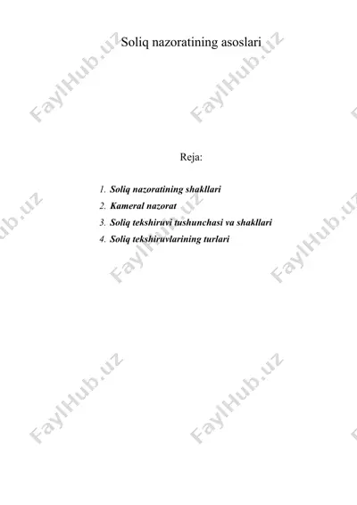 soliq nazoratining asoslari — DOC