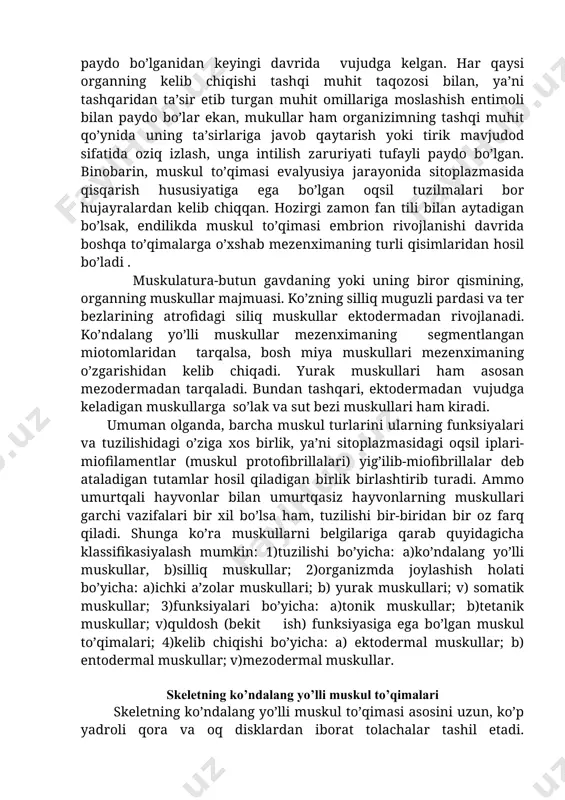 slashish entimoli bilan paydo bo’lar ekan, mukullar ham organizimning tashqi muhit qo’ynida uning ta’sirlariga javob qaytarish yoki tirik mavjudod sifatida oziq izlash, unga intilish zaruriyati tufayli paydo bo’lgan. binobarin, muskul to’qimasi evalyusiya jarayonida sitoplazmasida qisqarish hususiyatiga ega bo’lgan oqsil tuzilmalari bor hujayralardan kelib chiqqan. hozirgi zamon fan tili bilan aytadigan bo’lsak, endilikda muskul to’qimasi embrion rivojlanishi davrida boshqa to’qimalarga o’xshab mezenximaning turli qisimlaridan hosil bo’ladi . muskulatura-butun gavdaning yoki uning biror qismining, organning muskullar majmuasi. ko’zning silliq muguzli pardasi va ter bezlarining atrofidagi siliq muskullar ektodermadan rivojlanadi. ko’ndalang yo’lli muskullar mezenximaning segmentlangan miotomlaridan tarqalsa, bosh miya muskullari mezenximaning o’zgarishidan kelib chiqadi. yurak muskullari ham asosan mezodermadan tarqaladi. bundan tashqari, ektodermadan vujudga keladigan muskullarga so’lak va sut bezi muskullari ham kiradi. umuman olganda, barcha muskul turlarini ularning funksiyalari va tuzilishidagi o’ziga xos birlik, ya’ni sitoplazmasidagi oqsil iplari-miofilamentlar (muskul protofibrillalari) yig’ilib-miofibrillalar deb ataladigan tutamlar hosil qiladigan birlik birlashtirib turadi. ammo umurtqali hayvonlar …