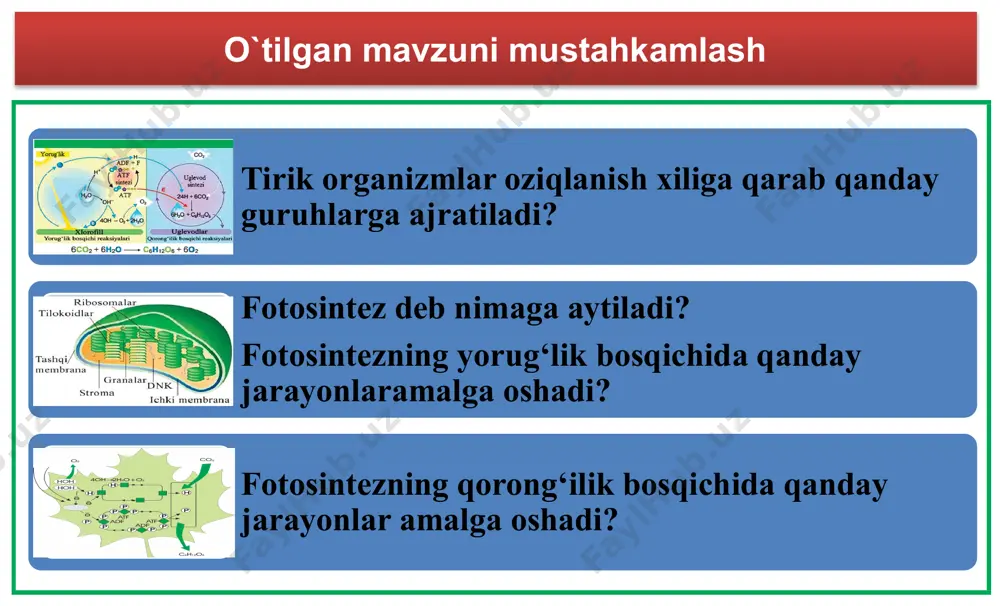 ngugurtni sulfat kislotagacha (h2so4) oksidlashdan ajraladigan energiyadan foydalanadi. 2h2s + o2 → 2h2o + 2s + energiya 2s + 3o2 + 2h2o = 2h2so4 + energiya oltingugurt bakteriyalari vodorod bakteriyalari vodorodni oksidlaydi. 2h2 + o2 = 2h2o + energiya xemosintez jarayonlarida kimyoviy reaksiyalarda ajralgan energiya uglerod manbayi bo‘lgan сo2 dan organik modda (ch2o) sinteziga sarflanadi. vodorod bakteriyalari xemosintezlovchi bakteriyalar moddalar aylanishida, atomlarning biogen migratsiyasida katta ahamiyatga ega. nitrifikator bakteriyalar tuproqni o‘simliklar uchun zarur azotli birikmalarga boyitadi. oltingugurt bakteriyalari natijasida tog‘ jinslarining yemirilishi kuzatiladi. temir bakteriyalari natijasida temir rudasi hosil bo‘ladi. xemosintezni amalga oshiradigan mikroorganizmlardan azot to‘plovchi va nitrifikatsiyalovchi bakteriyalar eng muhimi hisoblanadi. yuqorida aytib o‘tilgan mikroorganizmlar, ayniqsa, azot to‘plovchi bakteriyalarning roli juda katta. ular hosildorlikni oshirish uchun muhim ahamiyatga ega, chunki havoda bo‘ladigan va o‘simliklar o‘zlashtira olmaydigan azot ana shu bakteriyalarning hayot faoliyati natijasida o‘simliklar tomonidan yaxshi o‘zlashtiriladigan azot birikmalariga aylantirib beriladi. xemosintezlovchi organizmlarning tabiatdagi ahamiyati mustahkamlash iboralarni izohlang: temir …