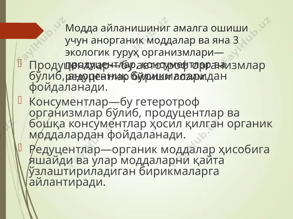 экосистемалар - Page 4