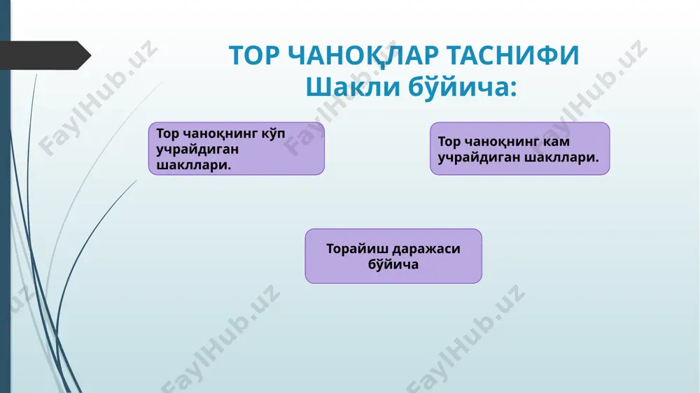 зми қуйидаги хусусиятларга эга. ҳомиланинг боши ўқ-ёйсимон чок билан кичик ча­ноқ. оғзининг кўндаланг ўлчамнда туради. ҳомила боши чаноқ оғзида бироз орқага қайрилади ва ёзилади. ҳомила бошининг асинклитик суқилиши юзага ке­ лади (олдинги ва орқа асинклитизм). 3. ҳомила бошининг ҳаддан ортиқ (ўта) брахиоцефал конфигурацияси кузатилади. функционал (клиник) тор чаноқ функционал жиҳатдан тор чаноқ умум туғруқларга нисбатан 1,5-2,5% ҳолларда учрайди. функционал жиҳатдан тор чаноқда туғруқнинг кечи­ши ҳомиладор аёл чаноғи билан ҳомила боши ўлчамларииинг бир-бирига мос келмаслигига боғлиқ тор ча­ноқда кўпинча туғруқ даври чўзилиб кетади, қоғоноқ сувларининг барвақт кетиши ҳомила киндигининг тушиши, нормал жойлашган плацентаниинг барвақт кўчиши, эндометрит, ҳомила асфиксияси, травмалар учраб туради. ҳомиладор аёллар чаноғининг функционал торлигини исботловчи клиник белгилар қуйдагича бачадон бўйни тўлиқ очилган бўлиб, туғруқ кучлари яхши бўлишига қарамай, ҳомиланинг туғруқ йўлларидан суст ҳаракатланиши ёки олдинга ҳаракатнинг йўқлиги, ҳо­мила бошининг чаноқда сурилиши, конфигурацияси хусусиятлари, вастен белгисининг кўрсатуви, цангемейстер ўлчамининг ташқи конъюгатадан катталиги, сийдик пуфагининг сиқилиш белгилари, бачадон деворининг ёрилиш хавфи …