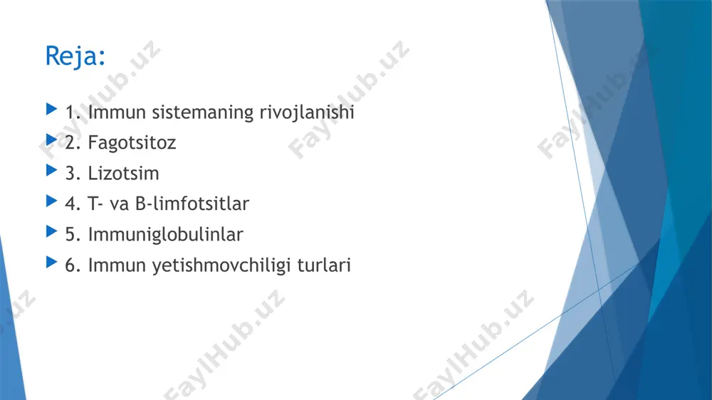 splengomegaliya va boshqalarda namoyon bo’ladi. lizotsim bakterial qobiq mukopolisaxaridlarni, ayniqsa, gram+ mikroblarni eritadigan ferment bo’lib, ko’z yoshlarida(7), so’lakda(0,2), qon plazmasida(0,2), nafas yo’llari hamda ichakning shilliq qavatlarda va organlarning har bir to’qimalarida mavjud. lizotsim mahalliy himoya reaksiyasida katta ahamiyatiga ega, u sekretor immunoglobulinlar bilan hamkorlikda harakat qiladi. b-limfotsitlar jigarda homilaning 10-12-haftasida, taloqda 12-haftasidan boshlanadi. lekin antitelo ishlab chiqarish vazifasi hali yaxshi rivojlanmagan bo’ladi. homila ichi antigen stimulyatsiyasi 20-haftadan boshlab yaqqol ko’rinadi. t-limfotsitlar vazifalari: 1. hujayra immunitetining asosiy effektori 2. immun javobni kamaytiradigan supressorlar 3. t-limfotsitlar immun jarayonida xelpler sifatida 4. antigen bilan to’qnashganda limfokinlar ajratadi immunoglobulinlar turlari jga jgd jge jgq jgm immun yetishmovchiligi turlari hujayrali surunkali ich ketish, gepatosplenomegaliya, shilliq qavat va teri kandidozi og’rishi, virus infeksiyalari bilan tez kasallanishi va tez tarqatishi gumoral agammaglobulinemiya, 6-8 oylar septikopiyemiya, meningit aralash gipo- va gipergammaglobulininemiya immunoglobulinlar almashinuvining buzilishi komplement — qondagi globulin fraksiyasi oqsillardan tashkil topgan ferment sistemasidir. komplimentning asosiy funksiyasi — …