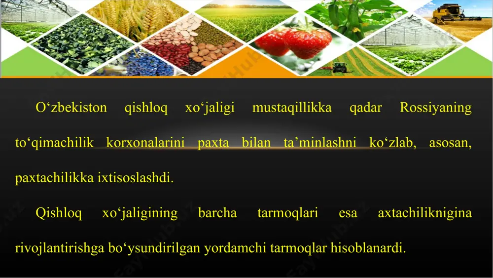 o‘zbеkistоndа qishlоq хo‘jаligining gеоgrаfik tiplаri 8-sinf - Page 4