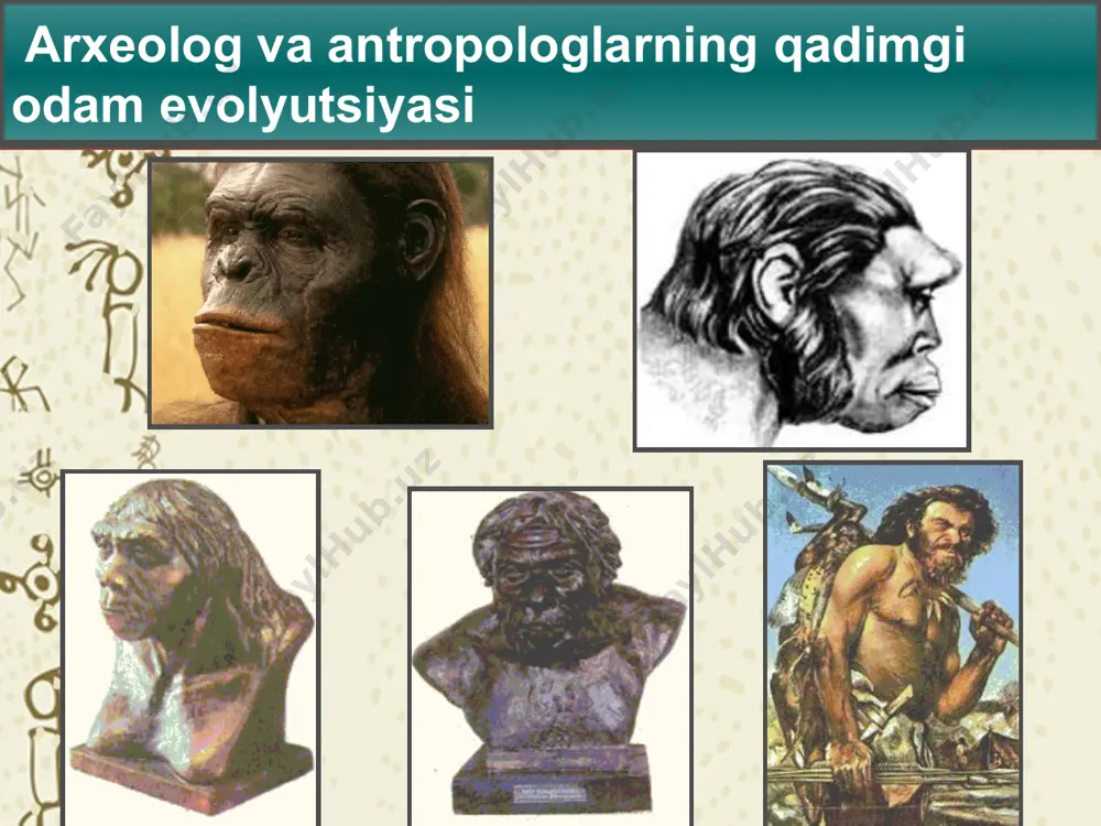 r. ibtidoiy tuzumni davriylashtirish eng qadimgi odamining aksariyati mehnat qurollarini toshdan yasaganligi bois, arxeologlar inson tarixining boshlanishini tosh asri deb atashgan va u quyidagi davrlarga bo'linadi: qadimgi tosh asri – paleolit ​​(yunoncha - "paleos" - qadimiy va "litos" - tosh) o'rta tosh asri - mezoliit (“mesos" - o'rta) yangi tosh asri - neolit ​​(“neos" - yangi) mis tosh asri - eneolit (lotincha “eneus“ – mis) paleolit neolit eneolit mezolit 3-2 mln yil ilgari m.a. 12-7 ming yil. н.э m.a. 5-3 ming yil. m.a. 4-3 ming yil. . qadimgi tosh asri o’rta tosh asri yangi tosh asri mis tosh asri tosh asri paleolit paleolit ​​insoniyat tarixida juda katta davrni egallagan bo‘lib, bu davrda mehnat qurollarini yasash texnikasi va ularning tashqi ko‘rinishi doimo o‘zgarib turdi, shuning uchun paleolit ​​o‘z navbatida uch davrga: ilk, o‘rta va so’nggi davrlarga bo‘lingan. paleolit: olduvay —> miloddan avvalgi 3-2 million yil . ilk -> ashhel - miloddan …