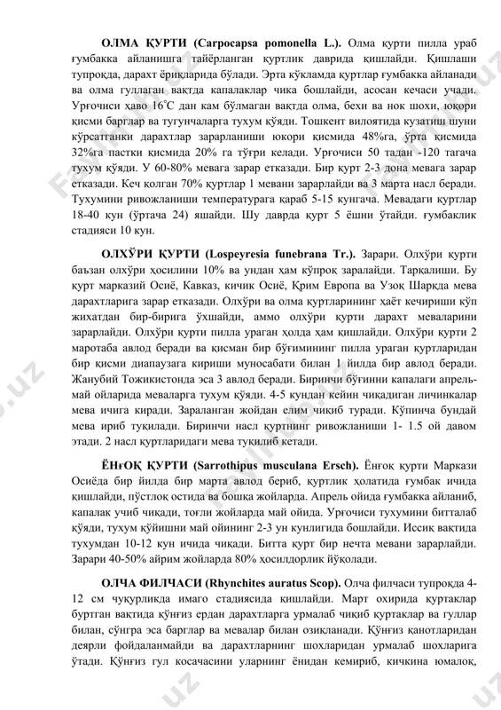 ивожланиши 1- 1.5 ой давом этади. 2 насл қуртларидаги мева туқилиб кетади. ёнғоқ қурти (sarrothipus musculana ersch). ёнғоқ қурти маркази осиёда бир йилда бир марта авлод бериб, қуртлик ҳолатида ғумбак ичида қишлайди, пўстлоқ остида ва бошқа жойларда. апрель ойида ғумбакка айланиб, капалак учиб чиқади, тоғли жойларда май ойида. урғочиси тухумини битталаб қўяди, тухум қўйишни май ойининг 2-3 ун кунлигида бошлайди. иссиқ вақтида тухумдан 10-12 кун ичида чиқади. битта қурт бир нечта мевани зарарлайди. зарари 40-50% айрим жойларда 80% ҳосилдорлик йўқолади. олча филчаси (rhynchites auratus scop). олча филчаси тупроқда 4-12 см чуқурликда имаго стадиясида қишлайди. март охирида қуртаклар буртган вақтида қўнғиз ердан дарахтларга урмалаб чиқиб қуртаклар ва гуллар билан, сўнгра эса барглар ва мевалар билан озиқланади. қўнғиз қанотларидан деярли фойдаланмайди ва дарахтларнинг шохларидан урмалаб шохларига ўтади. қўнғиз гул косачасини уларнинг ёнидан кемириб, кичкина юмалоқ, кўпинча нотўғри шаклдаги чуқурчалар очади. мевага етказган шикасти одатда ямалиб кетади ва унинг ўрни доғ бўлиб қолади, …