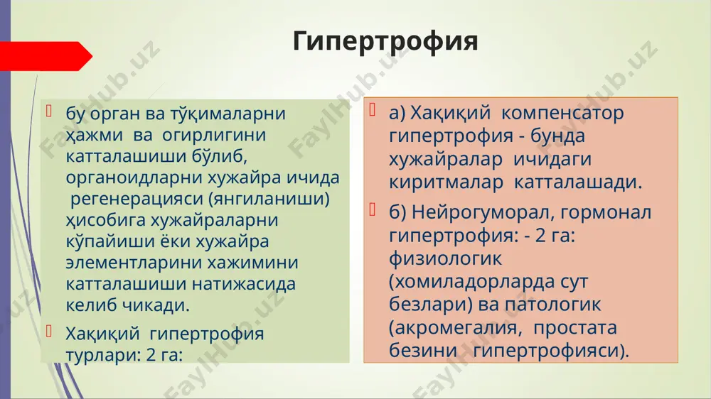 члари 1.трансформация босқичи : - мутацион - эпигеном йўллар 2. промация - фаоллашиш босқичи. 3. прогрессия босқичи. бу ўсмага хос хусусиятларни кучайиши. прогрессия омиллари: - канцерогенезга кўп хужайралар учрайди. улар ичидан биттаси танланади; - канцероген омилни таъсир этишини давомий; - ўсма хужайраларини тўсатдан мутацияга учраши яна ҳам ёмондир; - суперинфекция бўлса ўсма хужайралари янги хоссаларга эга бўлади. натижада ўсмаларни ўсиши янада тезлашади. химиотерапия вақтида дори моддаларга чидамли хужайралар танланиб жараённи огирлаштиради. ўсма жараёни ҳужайра геномининг касаллигидир деган назария хакидаги тасаввурлар 1. мутация жараёни назарияси (к.бовери). 2. эпигеном назарияси (к.гейдельберг, ю.м.оленев, л.б.саля­мов)---нормал ҳужайранинг ўсма ҳужайрасига айланиши мутация натижасида эмас, балки ҳужайра кўпайишини тормозловчи генларнинг репрессиялари ва ҳужайра кўпайишини рабатлантирувчи генлар депрессиясига кўра юз беради деб ҳисобланади. 3. вирус-генетик назария (л.а.зильбер ва бошқ.) бўйича --вирус днкси ҳужайра геномига кириб олиб ҳужайрада ўсма трансформациясини чақиради. 4. эндоген вируслар назарияси (р.хьюбнер, г.тодаро)га кўра --вирус генлари (онкогенлар) одам ва ҳайвонларнинг ҳужайра геноми таркибида доимо мавжуд, …