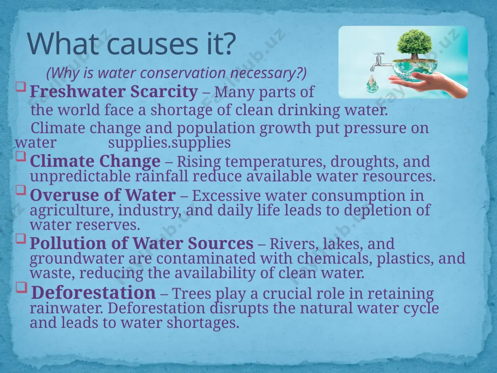 water conservation - Page 5