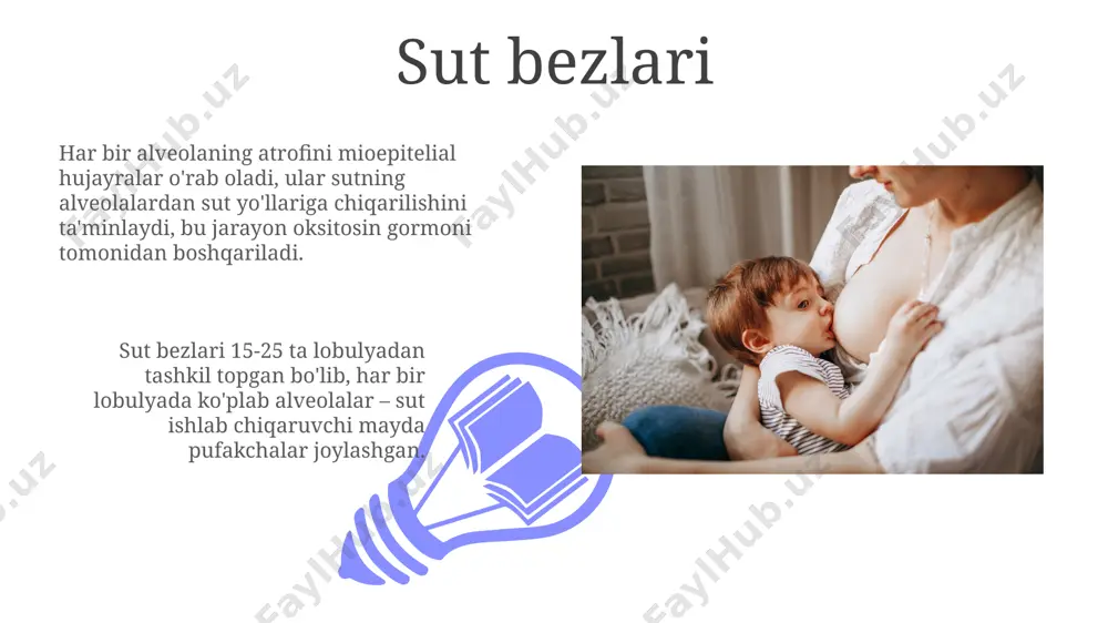 ko’krak bezi anatomiyasi. ko’krak bilan emizish mexanizmi - Page 3