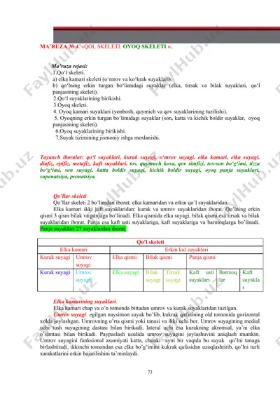 qo‘l skeleti — DOCX