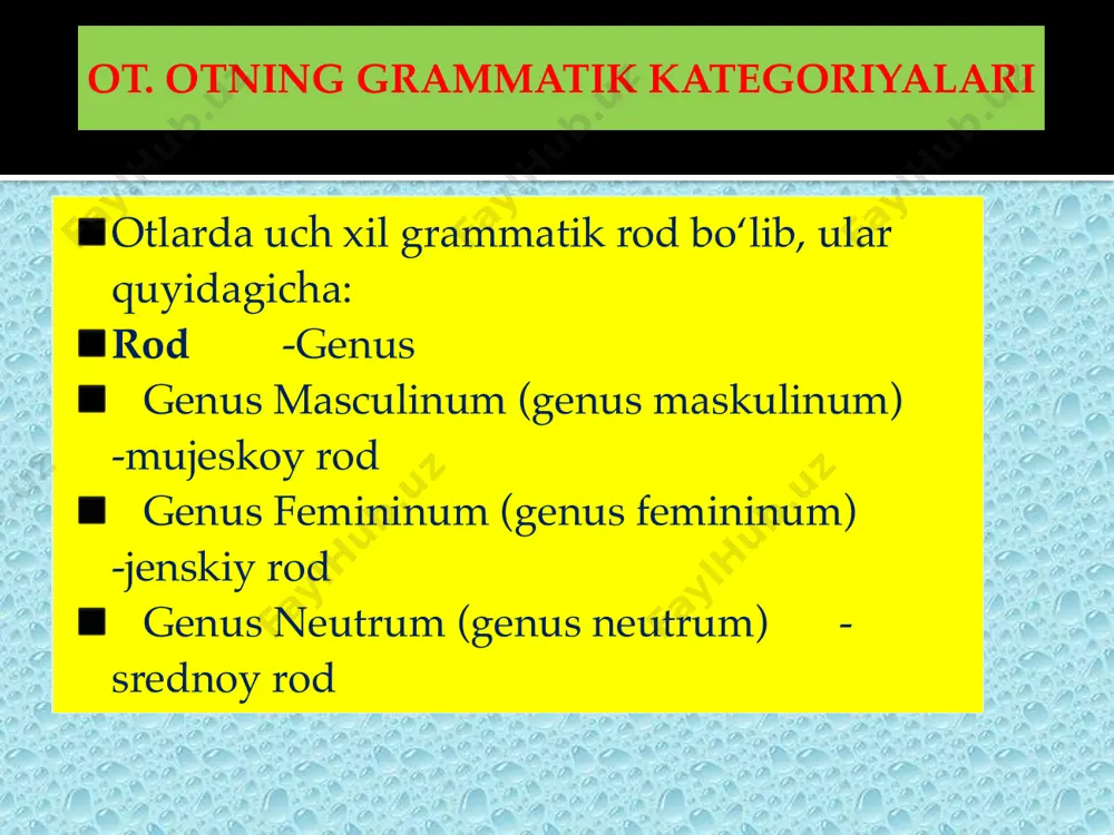 grammatik kategoriyalar - Page 3