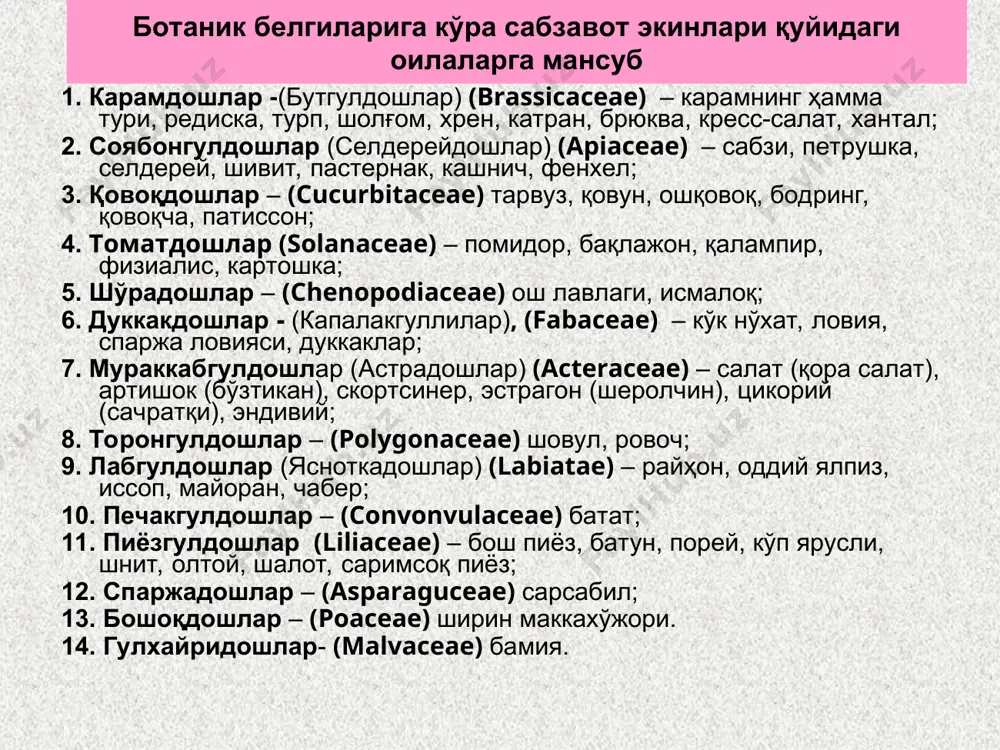 sabzavot ekinlari - Page 4