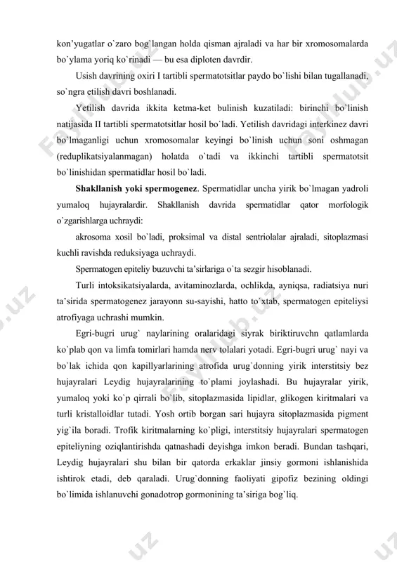 stalloidlar tutadi. yosh ortib borgan sari hujayra sitoplazmasida pigment yig`ila boradi. trofik kiritmalarning ko`pligi, interstitsiy hujayralari spermatogen epiteliyning oziqlantirishda qatnashadi deyishga imkon beradi. bundan tashqari, leydig hujayralari shu bilan bir qatorda erkaklar jinsiy gormoni ishlanishida ishtirok etadi, deb qaraladi. urug`donning faoliyati gipofiz bezining oldingi bo`limida ishlanuvchi gonadotrop gormonining ta’siriga bog`liq. urug`donning yoshga qarab o`zgarishi. yangi tug`ilgan bolalar urug`donining og`irligi 800 mg ga teng bo`lib, bo`laklarga bo`linganligi yaqqol ko`rinib turadi. urug`donlar bu davrda siyrak tolali shakllanmagan biriktiruvchi to`qimali stro-mada yotuvchi uncha egri-bugri bo`lmagan, ba’zan bir-birlariga tegib yotuvchi urug` kanalchalaridan iboratdir. urug` kanalchalari tor, bo`shlig`i deyarli ko`rinmay, ba’zan kanal hujayralari uni to`la bekitib qo`yadi. qanal hujayralari etilmagan sertoli hujayralari, spermatogoniylar va birlamchi gonotsitlardan iborat. erkaklar jinsiy sistemasining bola tug`ilgandan so`nggi taraqqiyotining birinchi to`rt yili statik davr deb nomlanadi. bu davrda urug` kanalchalari kichik o`lchamga ega bo`lib, ozgina egri-bugridir. hujayralar esa bir qavat bo`lib yotadi. urug`donning maxsus funksiyasi kuzatilmaydi. 4 yoshdan 10 yoshgacha …