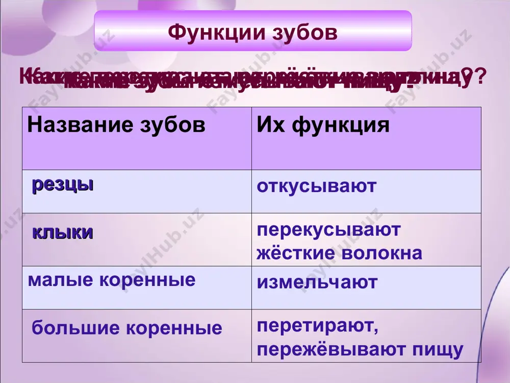 белые зайчики - Page 5
