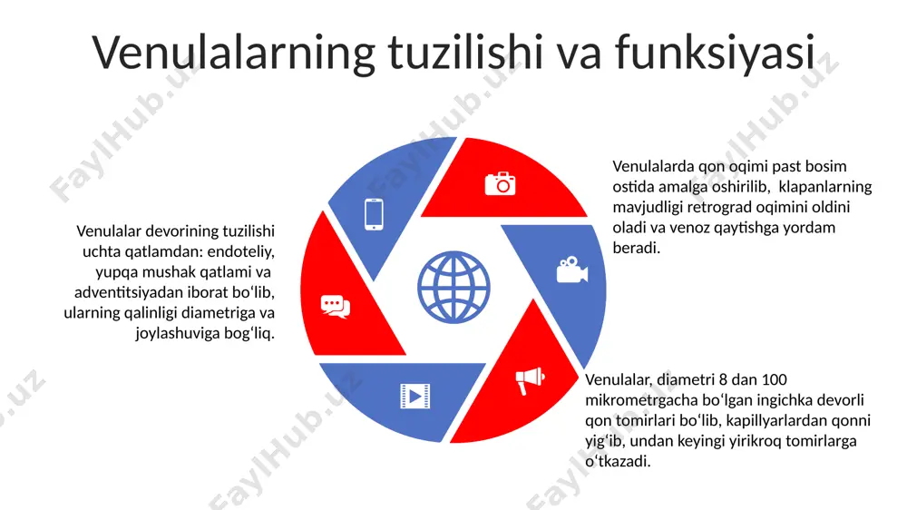 azolarda mikrotsirkulyatsiya. venalarda qonning harakatlanishi - Page 5