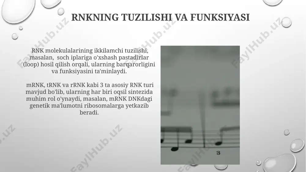 oydalangan holda teskari transkripsiya fermenti (rt) orqali amalga oshiriladi va bu jarayonda 4 ta nukleotid trifosfat (dntp) ishtirok etadi. primerlar va ularning ahamiyati primer dizayni paytida primer dimerlari va o'z-o'zini to'ldirish tuzilmalari hosil bo'lish ehtimolini minimallashtirish uchun maxsus dasturlar va algoritmlar qo'llaniladi, bu esa reaksiyaning aniqligiga ta'sir qiladi. rt-pcrda ishlatiladigan primerlarning uzunligi odatda 18-25 nukleotid oralig'ida bo'lib, maqsadli dnk ketma-ketligini aniq bog'lash uchun muhim ahamiyatga ega. retroviruslar va teskari transkripsiya teskari transkripsiya fermenti (rt) 3 ta asosiy funksiyani – rnkga bog'liq dnk sintezini, rnkning degradatsiyasini va dnkning ikki zanjirli molekulasini hosil qilishni – o'z ichiga oladi. oiv kabi retroviruslarning infektsiyasi va replikatsiyasi teskari transkripsiya jarayoniga bog'liq bo'lib, bu jarayonni inhibe qiluvchi dorilar, masalan, nukleotid teskari transkriptaza inhibitörleri (nrti) virusning ko'payishini to'xtatadi. e'tiboringiz uchun rahmat @taqdimot_robot image3.png image4.jpg image5.jpg image6.jpg image7.jpg image8.jpg image9.jpg image10.jpg image11.jpg image12.jpg image13.jpg image14.jpg image15.jpg image1.png