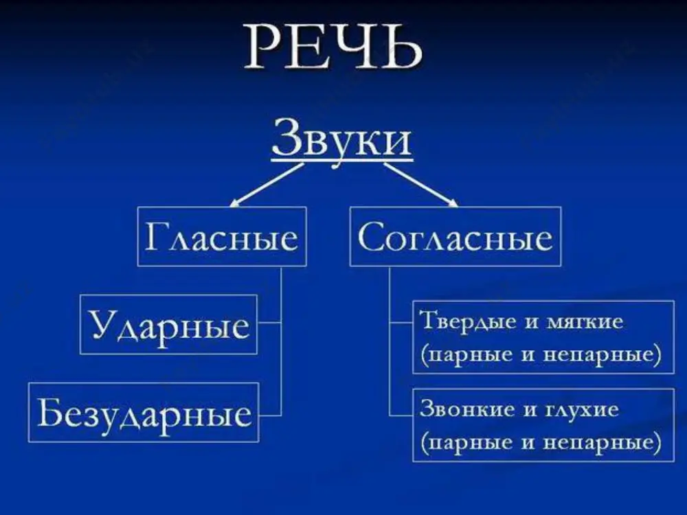 классификация звуков - Page 2