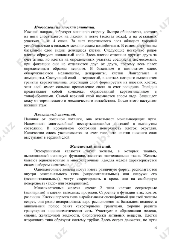 ает полость рта, пищевод, влагалище и роговицу. он состоит из трех слоев клеток. первый слой состоит из цилиндрических ячеек, следующий слой – многоугольный, третий слой – из плоских ячеек. пролиферация происходит в базальном и шиповатом слое, наблюдается множество митотических форм. здесь много свободных нервных окончаний. многослойный плоский эпителий. кожный покров – образует внешнюю сторону, быстро обновляется, состоит из пяти слоев клеток на ладони и пятке (толстая кожа), а на остальных участках – из 4 слоев. за счет кератинового слоя обладает хорошей устойчивостью к сильным механическим воздействиям. в самом внутреннем базальном слое видны делящиеся клетки. следующие несколько рядов клеток образуют шиповатый слой. здесь клетки отделены друг от друга за счет атина, но клетки на определенных участках соединены десмосомами, при фиксации они не отделяются друг от друга, поэтому весь пласт определенным образом невидим. в базальном и шиповатом слоях обнаруживаются меланоциты, дендроциты, клетки лангерганса и лимфоциты. следующий слой — зернистый, в клетках которого …