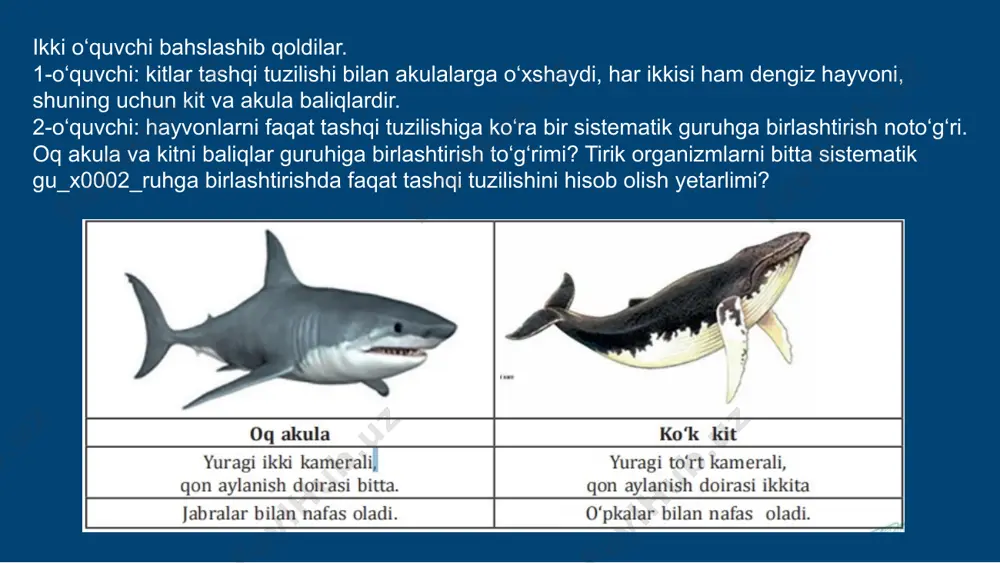 a bir_x0002_lashtiriladi. masalan, bodom, olma, o‘rik, na’matak, do‘lana turkumlari birlashib, ra’nodoshlar oil_x0002_asini tashkil etadi. kelib chiqishi jihatidan yaqin bo‘lgan oilalarga, ular esa o‘z navbatida sinflarga birlashtiriladi. masalan, loladoshlar, bug‘doydoshlar (boshoqdoshlar), chuchmomadoshlar kabi oilalar to‘planib, bir urug‘pallali o‘simliklar sinfini hosil qiladi. ra’nodoshlar, ituzumdoshlar, gul_x0002_xayridoshlar kabi oilalar birlashib, ikki urug‘pallali o‘simliklar sinfini tashkil etadi. o’simlik turlarining klassifikatsiyasi hayvon turlarining klassifikatsiyasi bir va ikki urug‘pallalilar sinflariga oid o‘simliklarning barchasi gulli o‘simlik bo‘lgani uchun bu ikki sinf, gulli o‘simliklar yoki yopiq urug‘li o‘simliklar bo‘limiga birlashtiriladi. o‘simliklar dunyosi o‘simliklar sistematikasidagi eng katta birlik bo‘lib, yo‘sinlar, qirqbo‘g‘imlar, qirqquloqlar, ochiq urug‘li o‘simliklar, yopiq urug‘li o‘simliklar kabi bo‘limlarni o‘z ichiga oladi. hozirgi kunda ko‘pchilik mutaxassislar tomonidan organik olam ikkita katta dunyo: prokariot va eukariotlarga ajratilgan. prokariotlarga bakteriyalar, eukariotlarga esa protistalar, zamburug‘lar, o‘simliklar va hayvonlar dunyolari kiradi. bakteriyalar dunyosiga birlashtirilgan tirik organizmlarning hujayralarida yadro bo‘lmaydi. shuning uchun ular prokariotlar deb ataladi. eukariotlarning hujayralarida yadro mavjud. organik olamning rivojlanishi 1. …