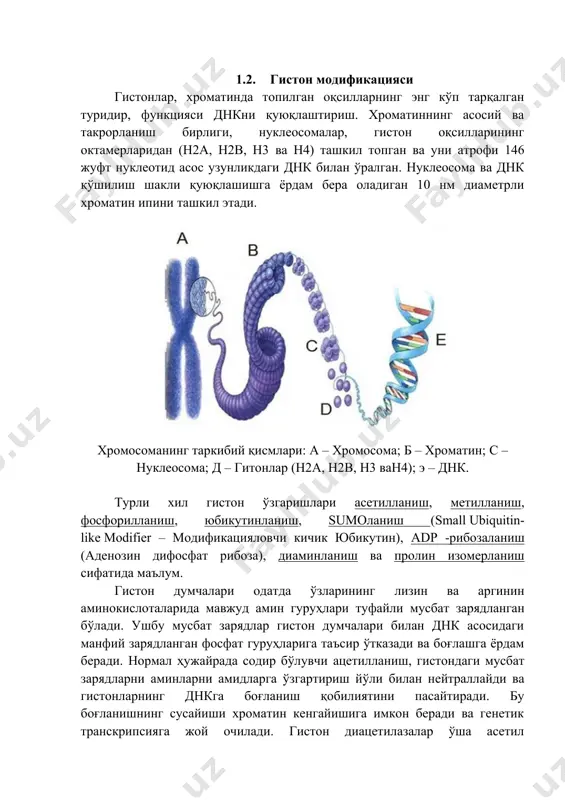 rda, tsitozinning guaninga tutash 5-uglerod pozittsiyasida (5mc) topilgan. sutemizuvchilar genomida, taxminan 70-80% cpg dinukleotidlari metillangan bo'lib, bu deyarli faqatgina cpg dinukleotidlari ichida sodir bo'ladi. shuningdek, o'simliklarda cpg bo'lmagan metillanish ham sodir bo'ladi (birinchi navbatda cpnpg va cphph metillanish, bu erda h = a,t,c) va juda kam hollarda sutemizuvchilarda. odam genomida genomning 1 % dnk si metillanadi. katta yoshdagi organizmlarda metillanish ts-r-g dinukleotidlarda, embrion o'zak hujayralarida esa ts-r-g dan tashqarida amalga oshadi. har bir hujayra o'zining butun tanasini bunyod etishi uchun barcha genetik ma'lumotga ega. garchi urug'langan birgina hujayradan boshqa bir qancha hujayra turlari hosil bo'lsada dnk srukturasi mutlaqo o'zgarmaydi va barcha hujayralarda bir xil bo'ladi.biroq har bir hujayra faqat o'zigagina xos bo'lgan genlarni faollashtiradi.shunday qilib jigar hujayrasi faqatgina jigar hujayrasida ishlaydigan genlarnigina faollashtiradi. nerv hujayralari jigarga tegishli genlarni ishlata olmaydi. normal hujayralarda deyarli butun genom metillangan bo'lib, shulardan kamgina cpg orollari metillanmagan bo'ladi va bu kam miqdordagi genlarning faol bo'lishini …